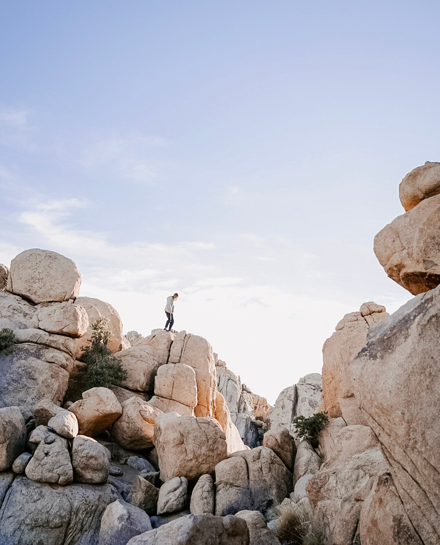 There is no destination, focus instead on making your daily journey a happy one. 🚶🏽&zwj;♀️⁠
.⁠
.⁠
.⁠
.⁠
#desertreset #retreat #meditation #yoga #transformationalretreat #wellnessretreat #plantbased #veganretreat #yogalife #vegan #desertlife #happin