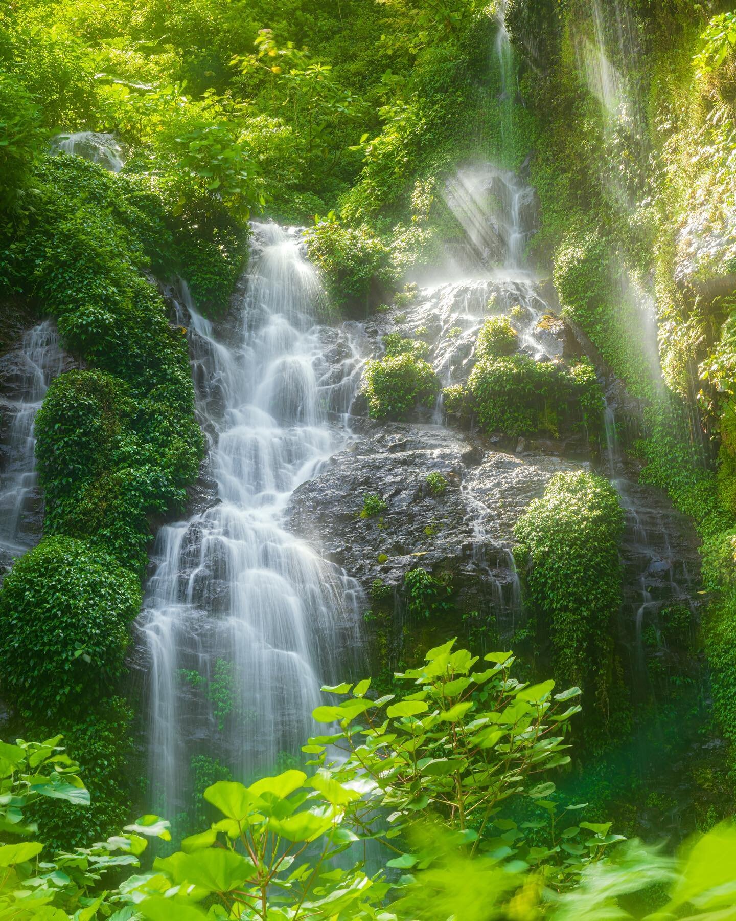 Monteverde tiene lugares que parecen sacados de un cuento de hadas ✨

La catarata #2 del recorrido tiene una belleza &uacute;nica 🍃 frente a ella pasa tambi&eacute;n el trayecto del sendero &ldquo;pata pelada&rdquo; que invita a los senderistas a ca