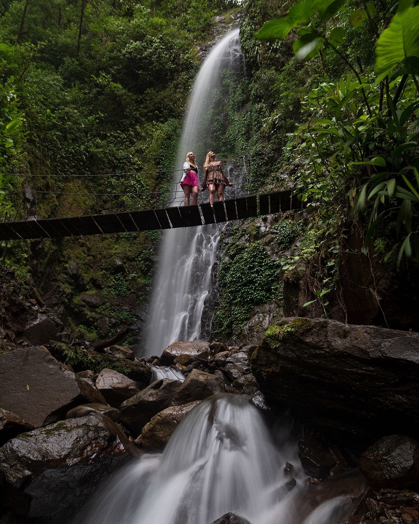 Una conexi&oacute;n aut&eacute;ntica con el bosque 🍃
.
.
.
.
.
.
.
.
.
#eltigrewaterfalls #hiking #hikingadventures #costarica #natgeotravel #monteverde #outdoors