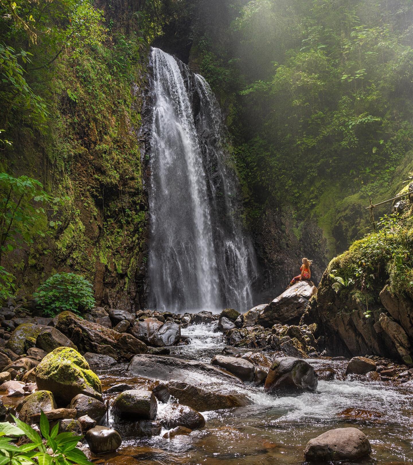 Encuentra la magia en las cosas sencillas 🍃 senderismo nivel intermedio en medio del bosque nuboso m&aacute;s famoso de Costa Rica 🇨🇷