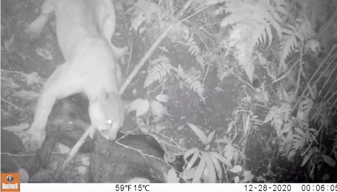 Captura de pantalla 2025-10-21 a la(s) 2.55.23 p. m..png