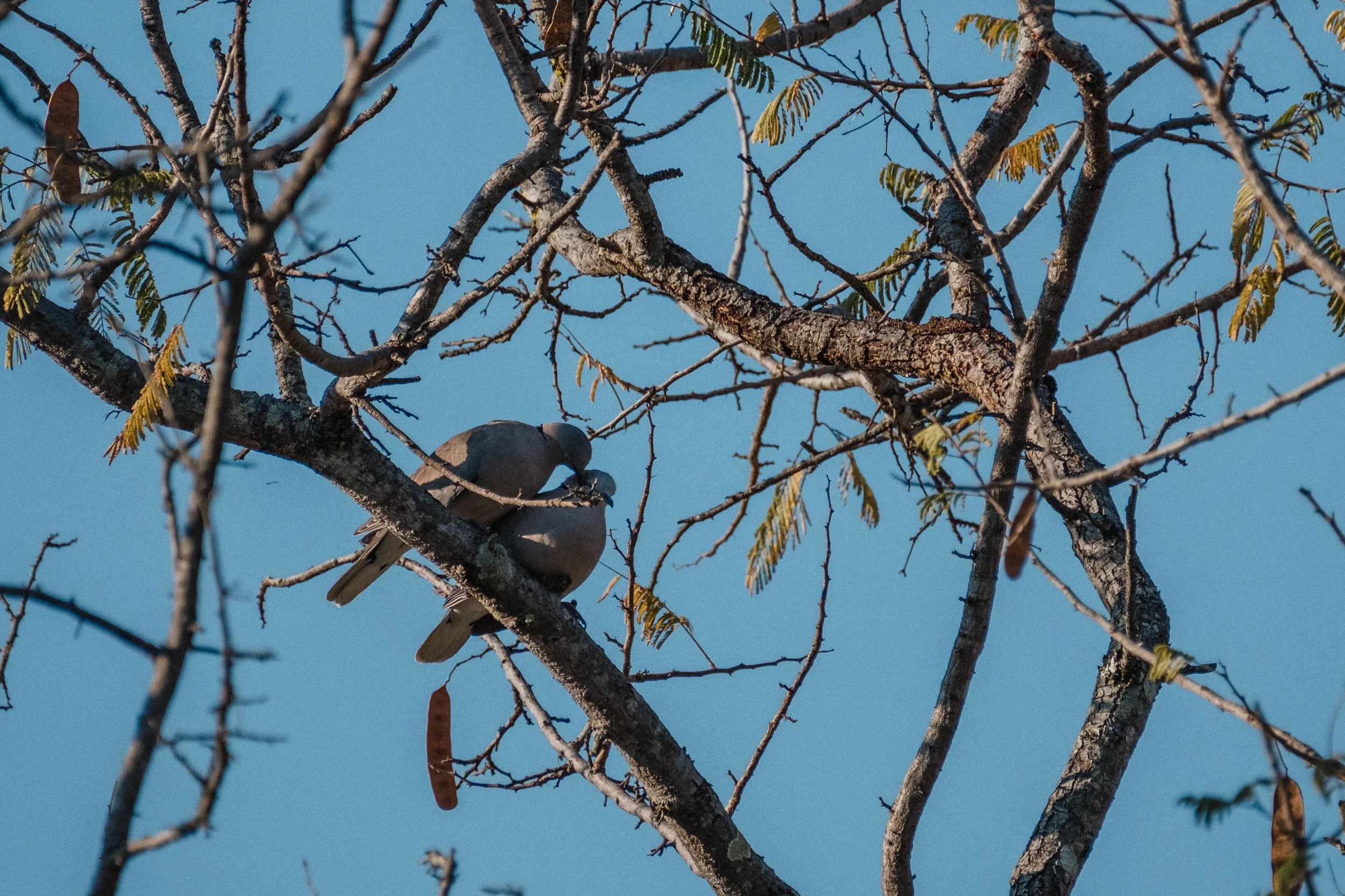 DSCF7750.jpg
