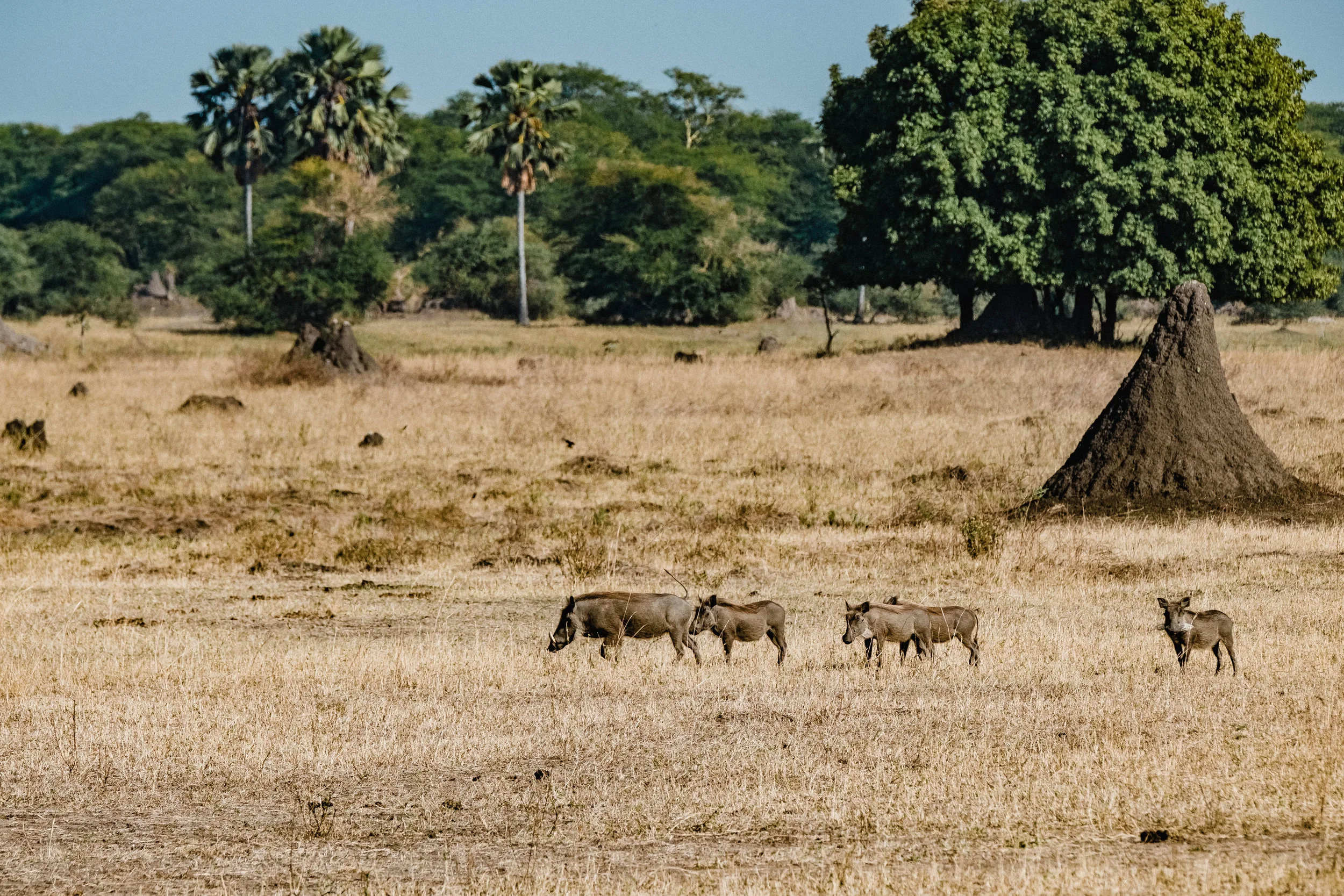 DSCF7873.jpg