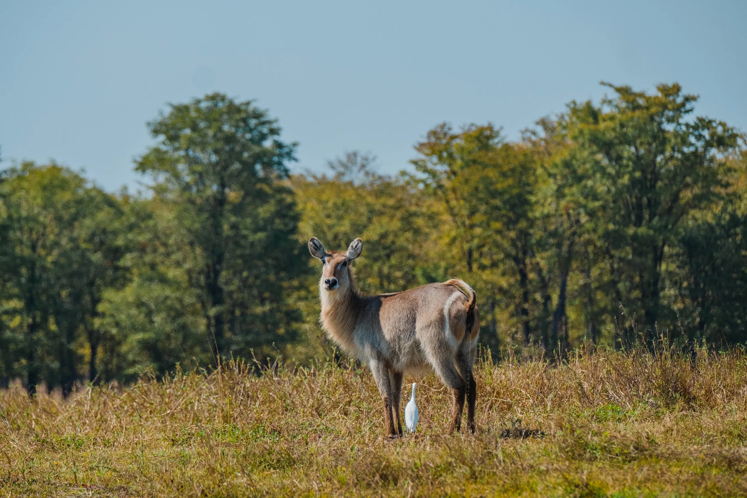 DSCF7915.jpg