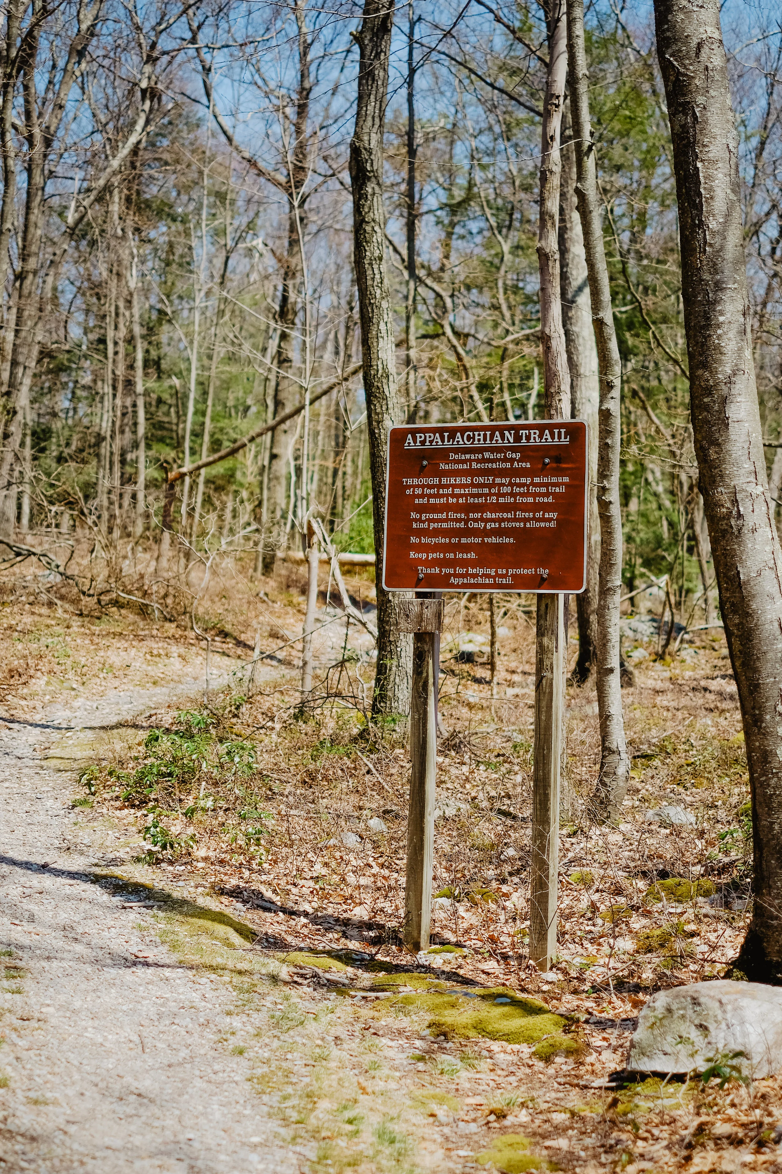 DSCF4866-1.jpg
