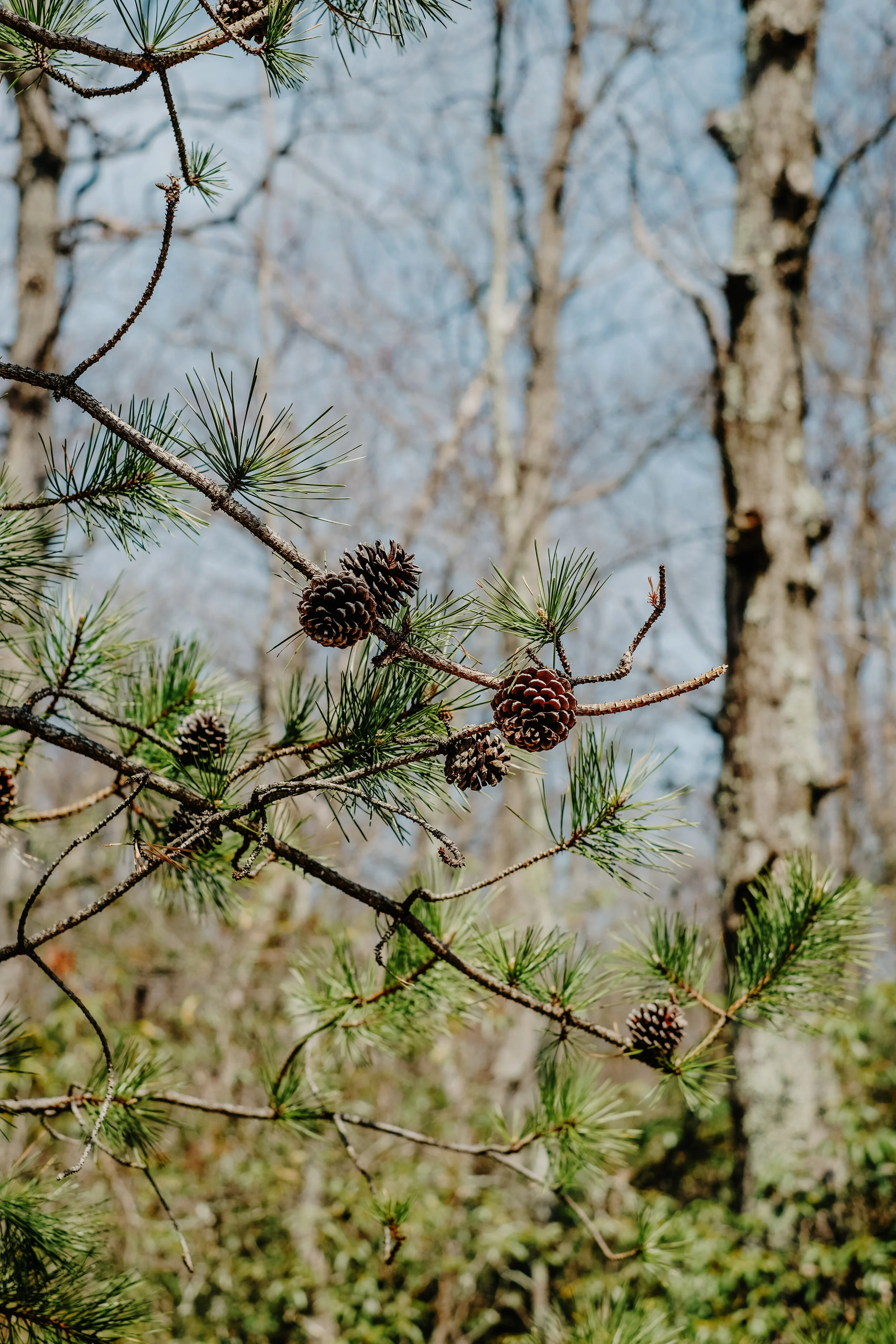 DSCF4932-8.jpg