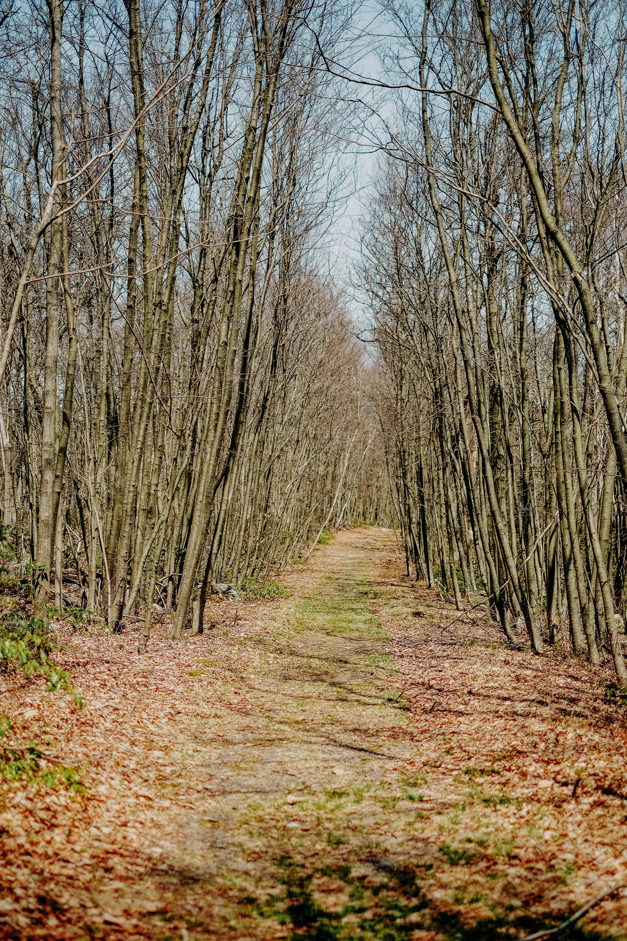 DSCF4916-1.jpg