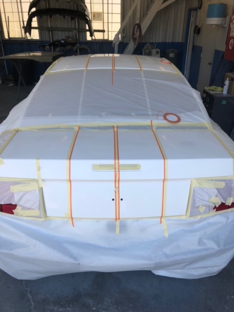 White Ford Mustang Custom Trunk Pin Stripe Paint