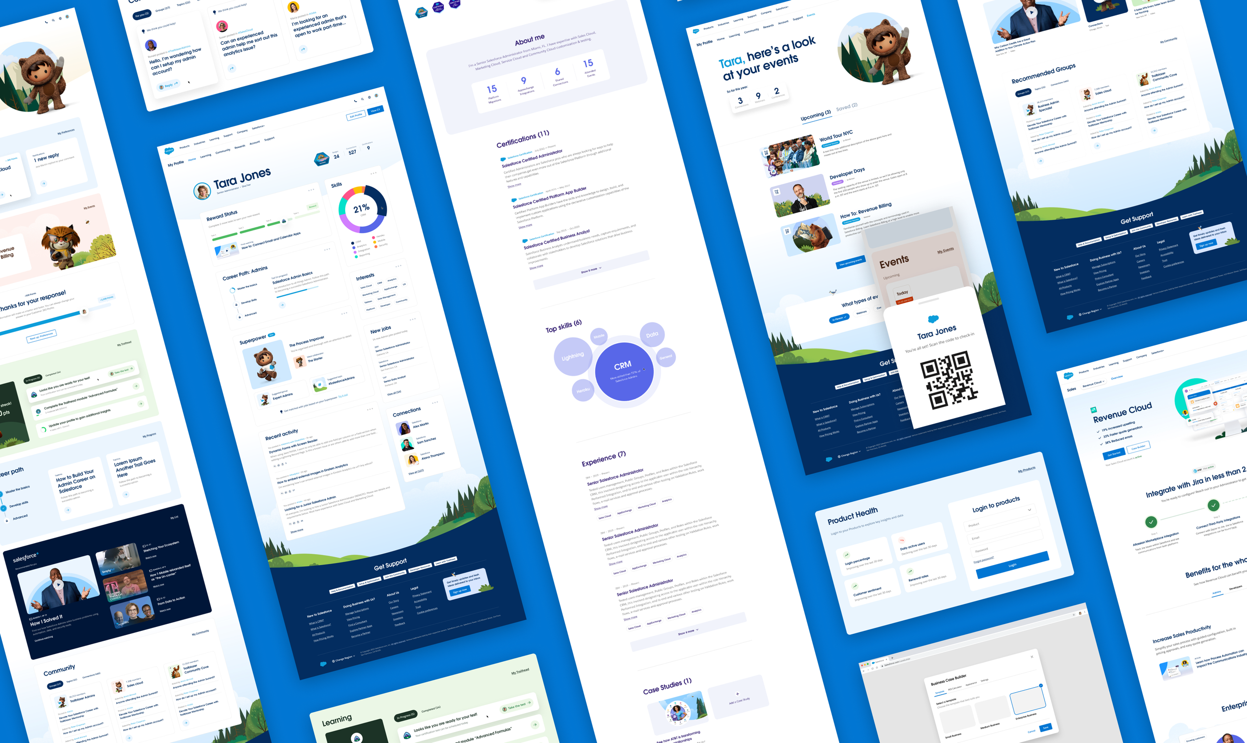 Salesforce Profile Identity