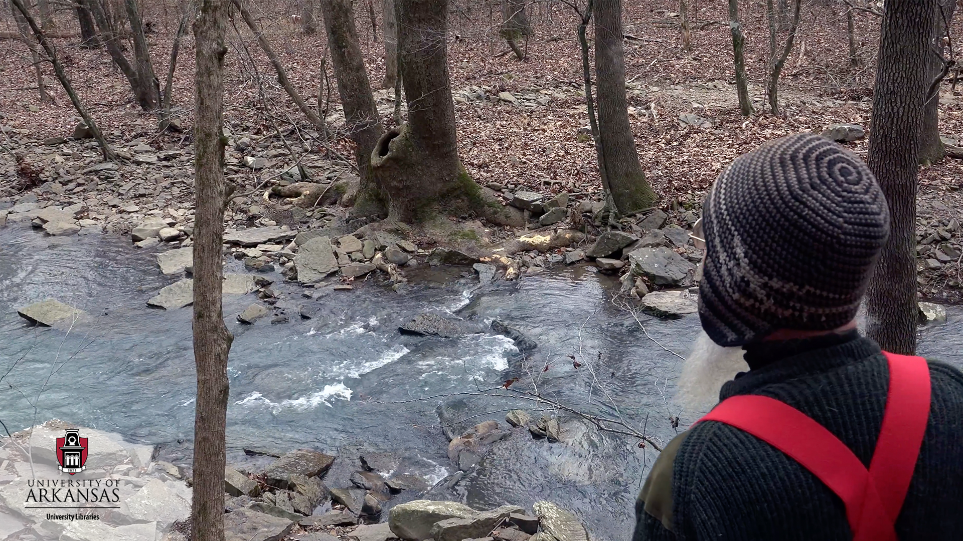 Downstream People