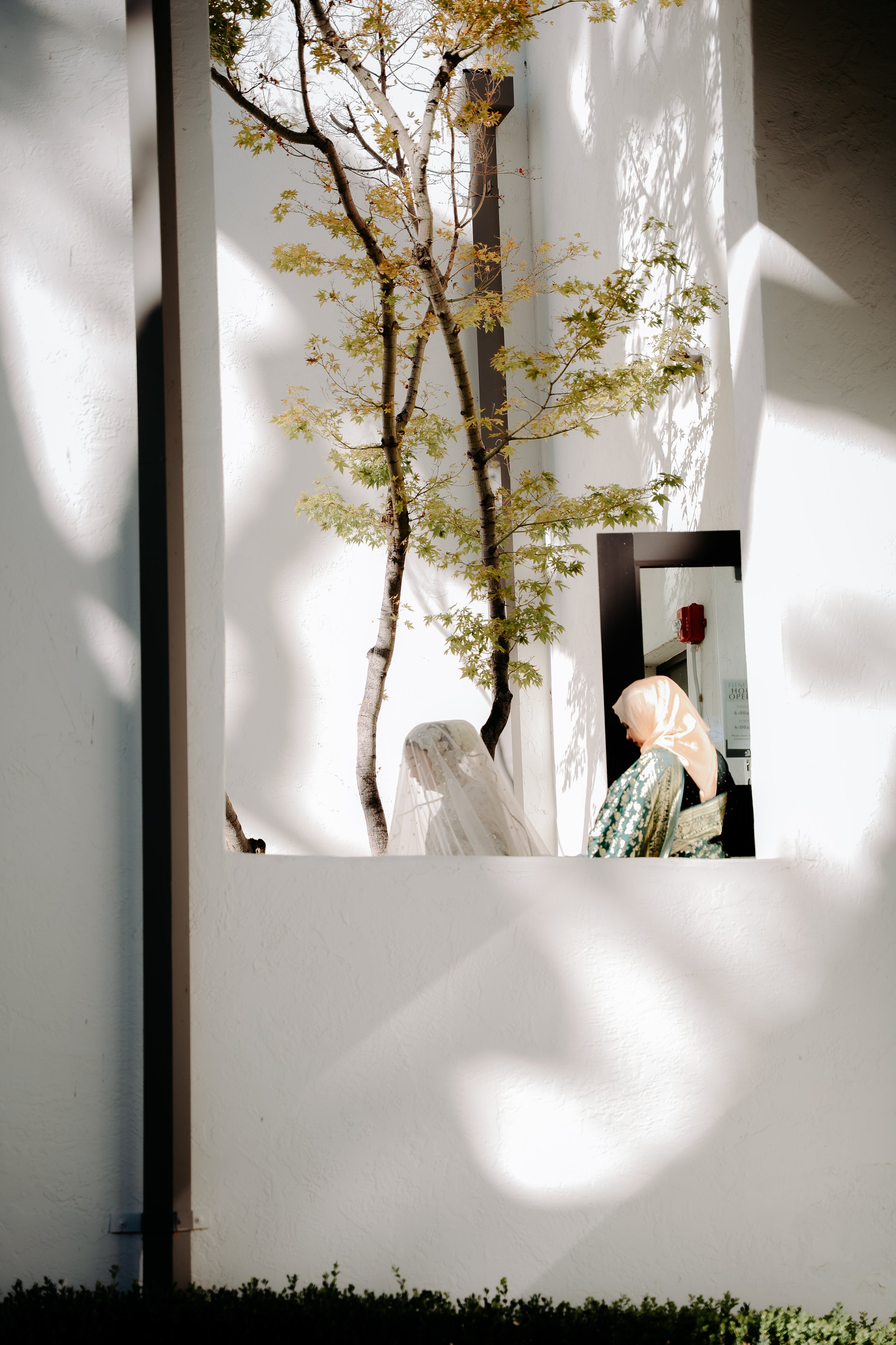 Bay Area Wedding Planning Timeline: Month-by-Month Guide