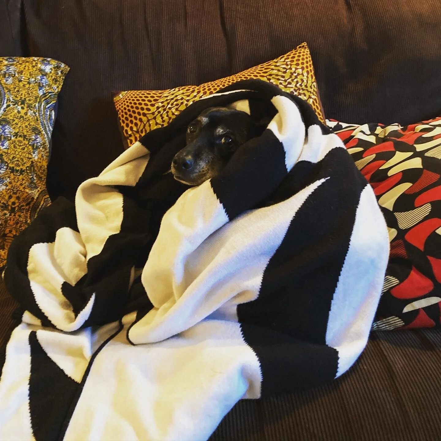 #knowsitsnotreallySpring