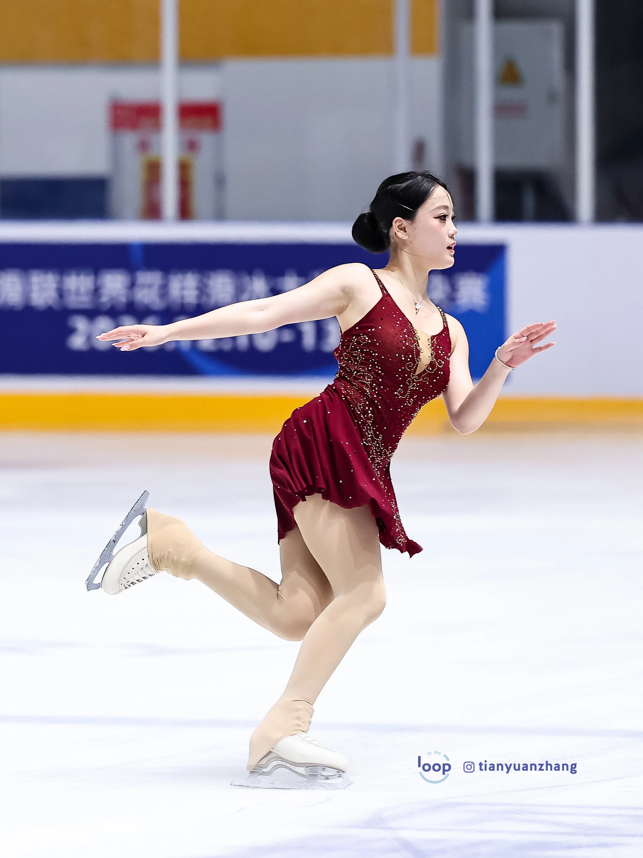 MENG Lingfei.jpg