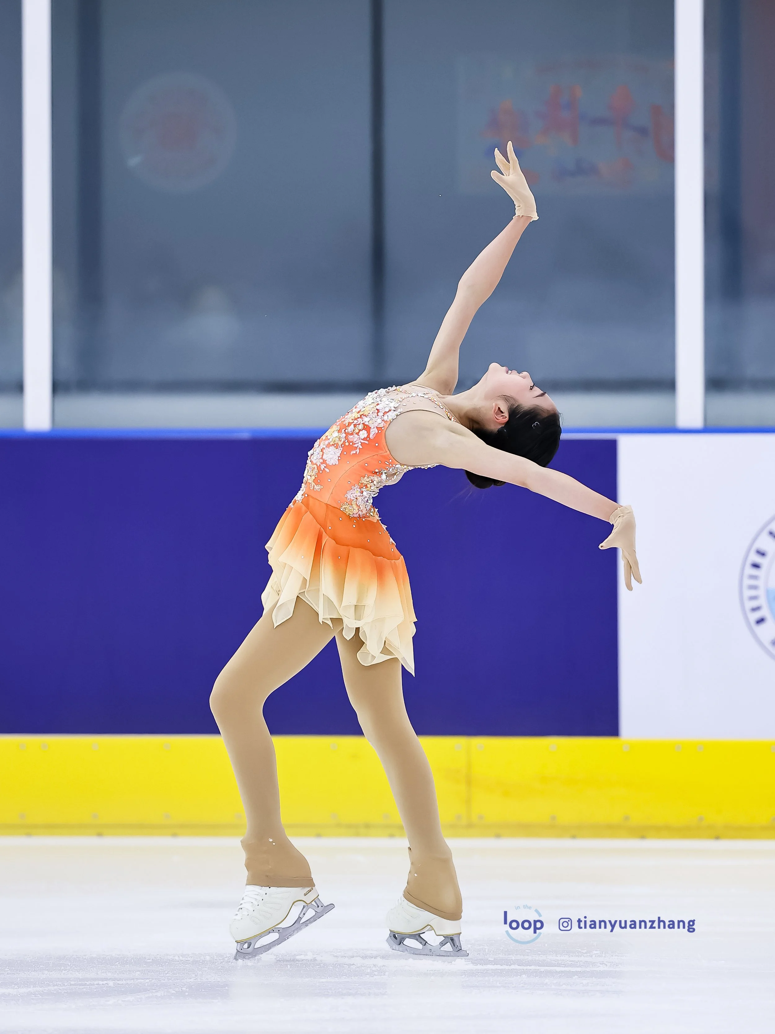 JIN Shuxian 3.jpg