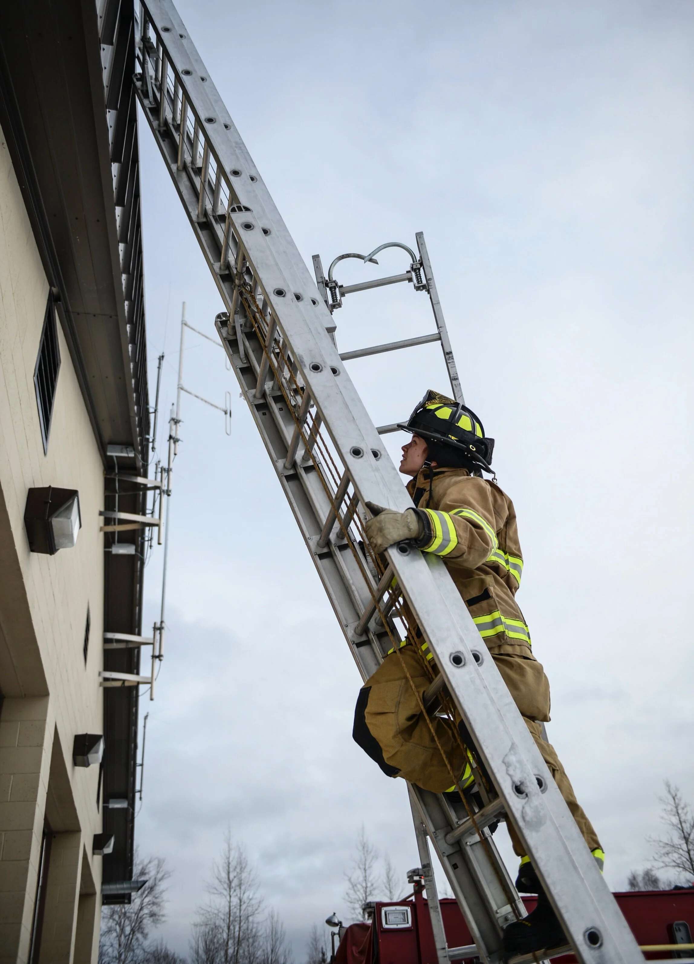 training ladder target