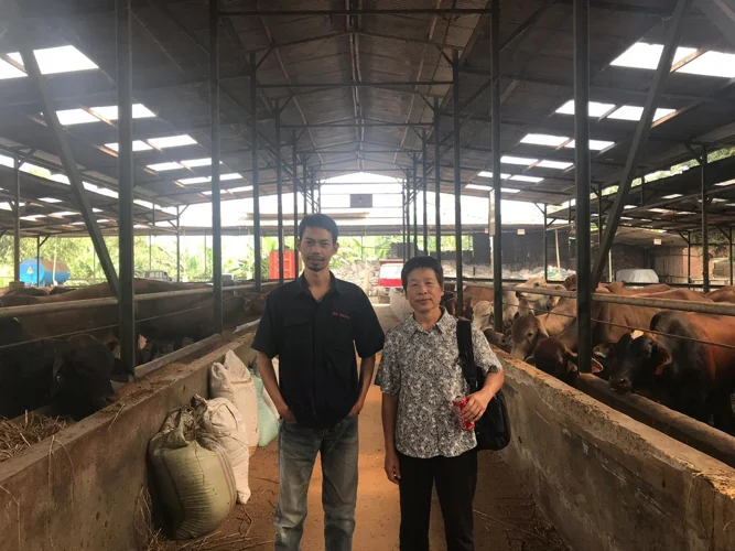 Pak Khoirul and Associate Professor Christie Chang at the fattening pen, PT Pasir Tengah, Cianjur. Photo: Febrina Prameswari