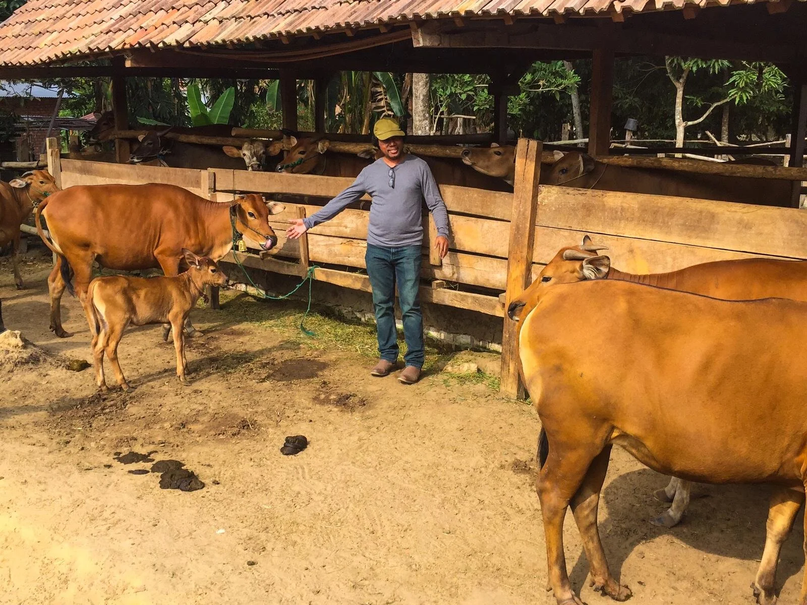 Mr Alipio de Almeida pictured during animal enrolment activity in South Sumatra, August 2019. Photo: Kieren McCosker