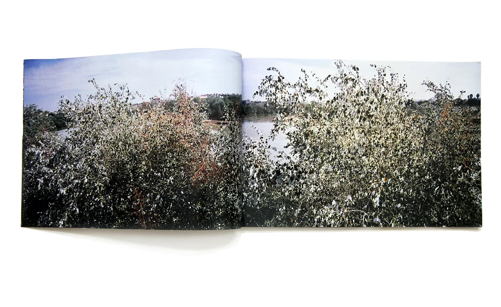 River Trees 15" x 10" laser print book 2016