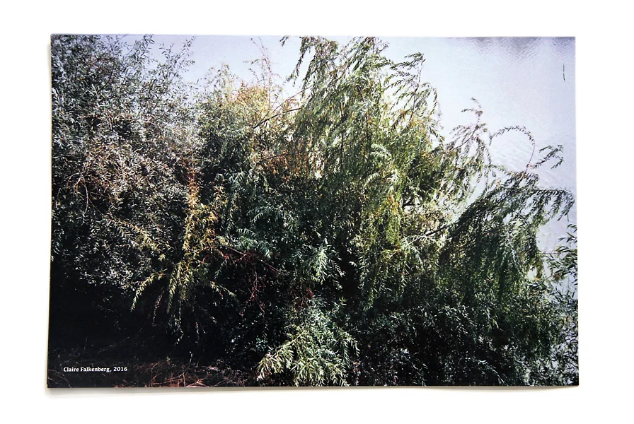 River Trees 15" x 10" laser print book 2016