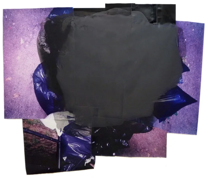 Bloom 69" x 81" oil on collaged c-print 2012