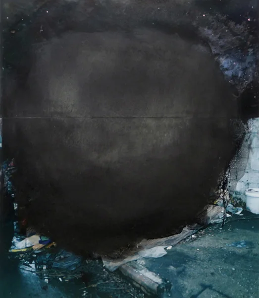 Dusk 57" x 49" oil on collaged c-print 2011