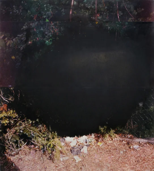 Forest 57" x 52" oil on collaged c-print 2011