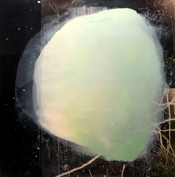 Thorns 58" x 59" oil on collaged c-print, 2010
