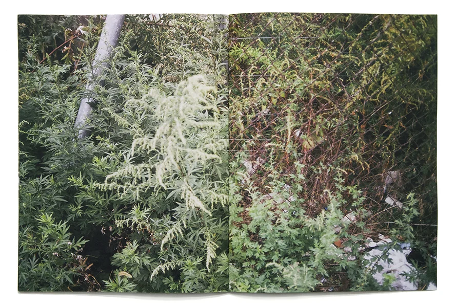 Rippling 10.75" x 13.5" laser print book 2017