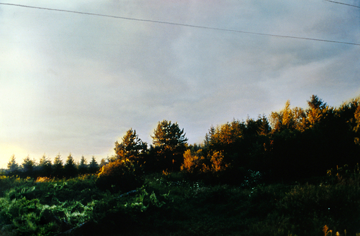   Evening     94 x 71 cm / 37" x 28"    oil on c-print    2001   