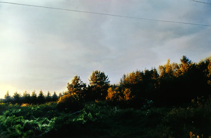 Evening 37" x 28" oil on c-print 2001