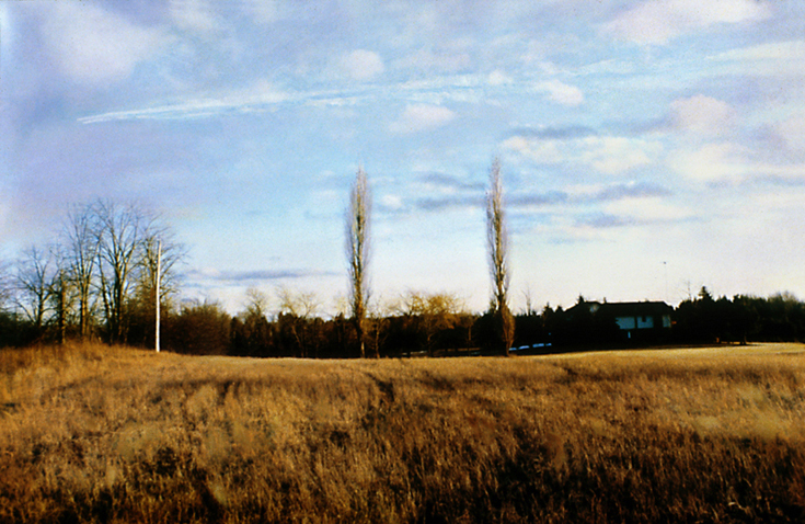   Vapour trail     94 x 66 cm / 37" x 26"    oil on c-print    2001   