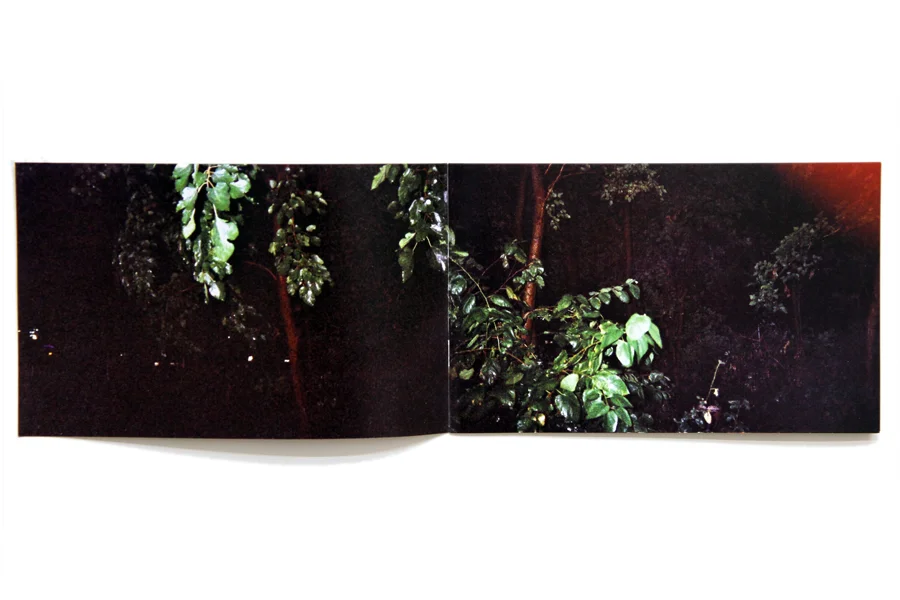 Wet Night 5” x 8” laser print book 2010