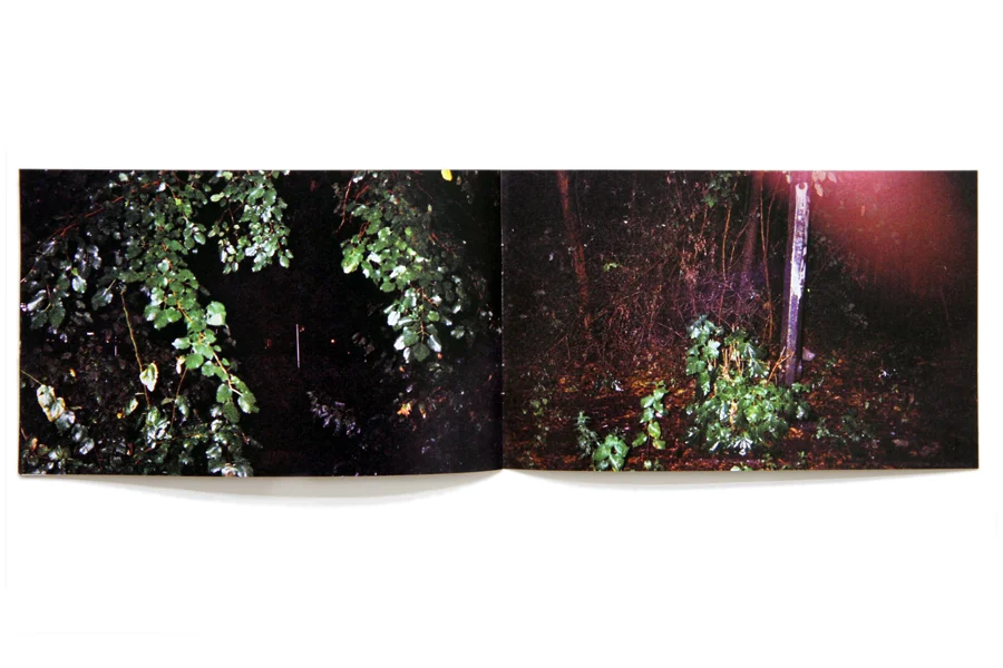 Wet Night 5” x 8” laser print book 2010