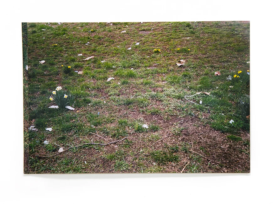 Constellations 17” x 11.5” laser print book 2018