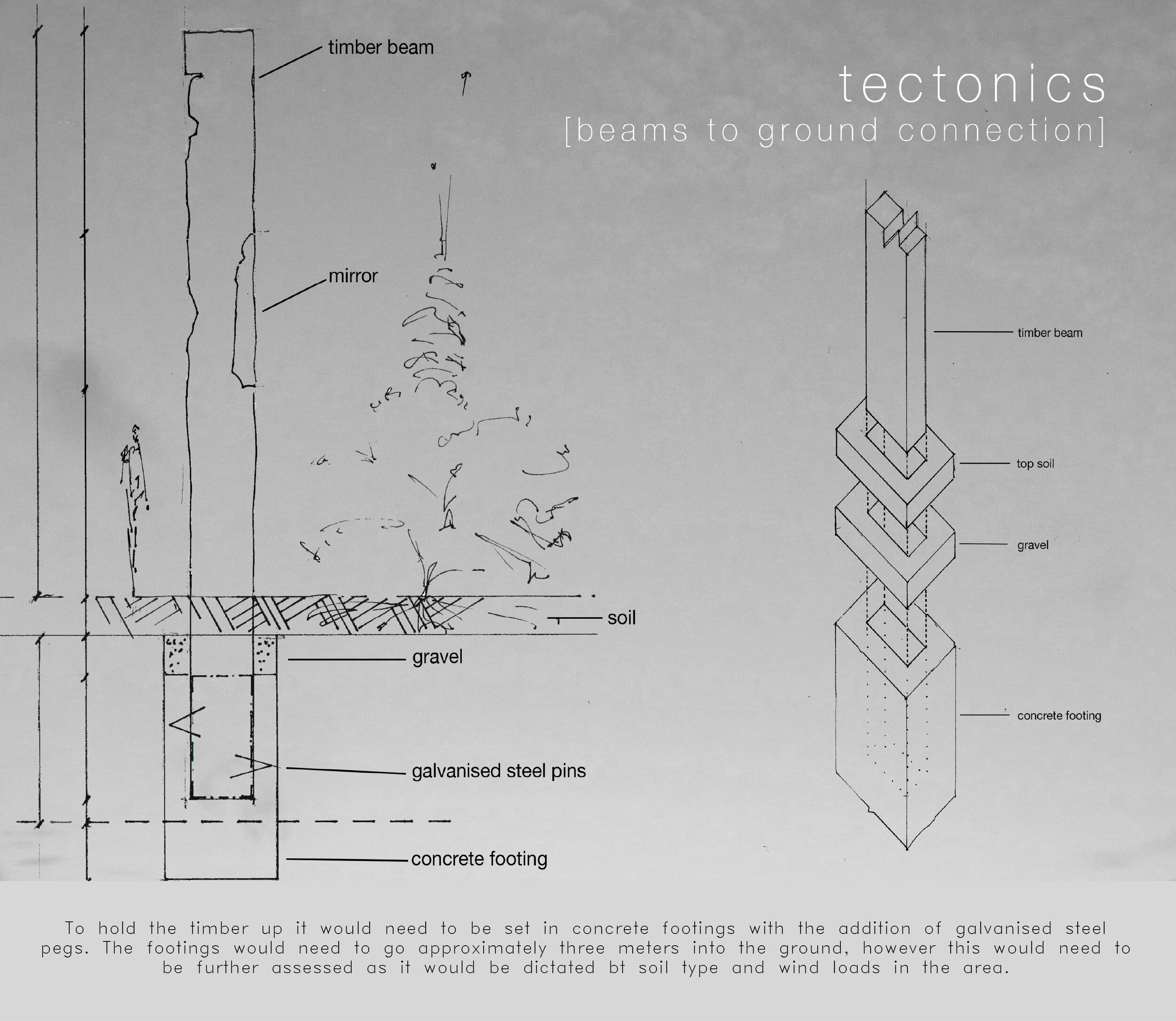 te ngahere_Booklet-23.jpg