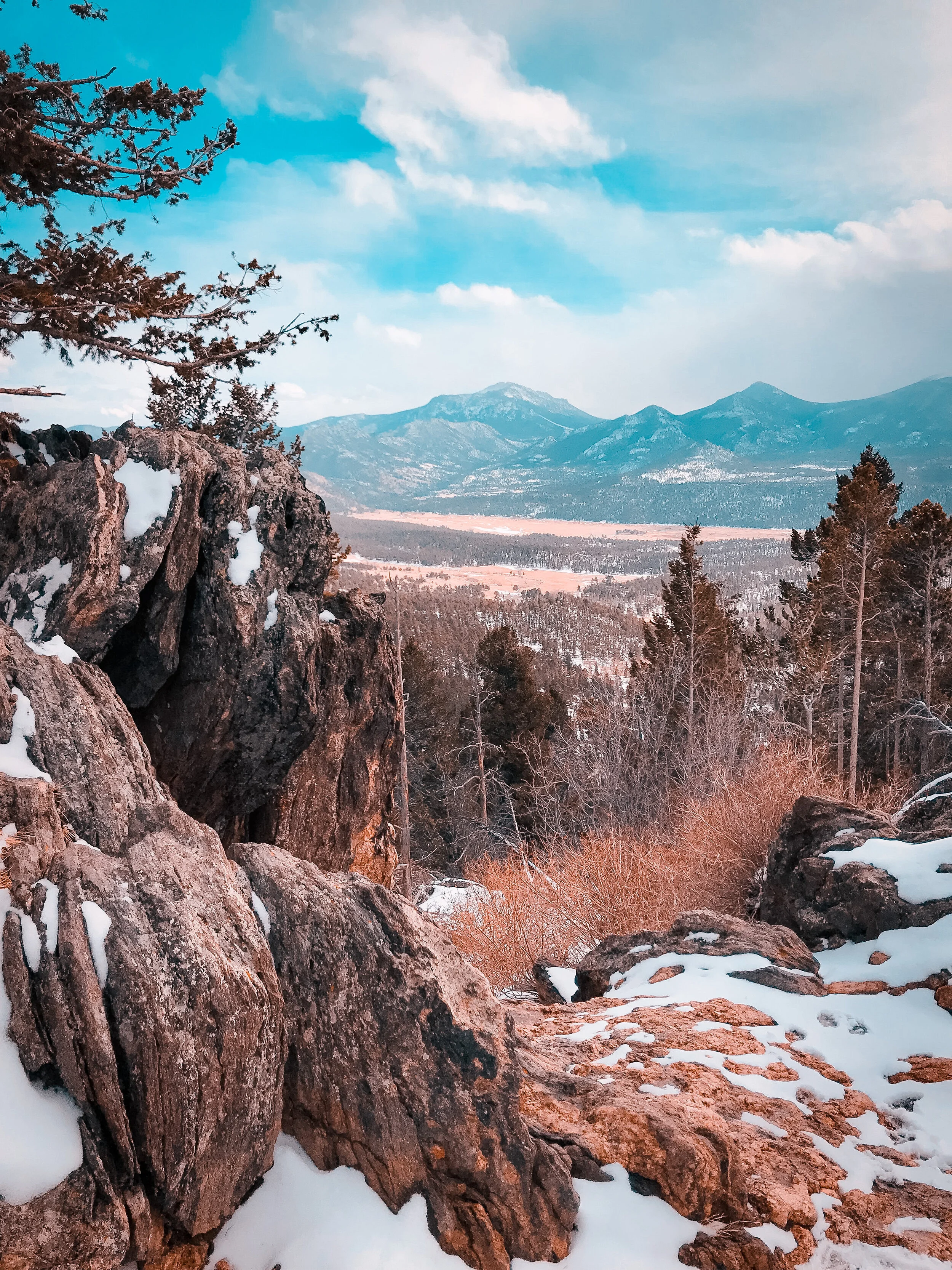  I find myself constantly drawn to capturing the essence and beauty of flowers. When we stop and appreciate their elegance and grace, our day becomes brighter and that is truely powerful.  