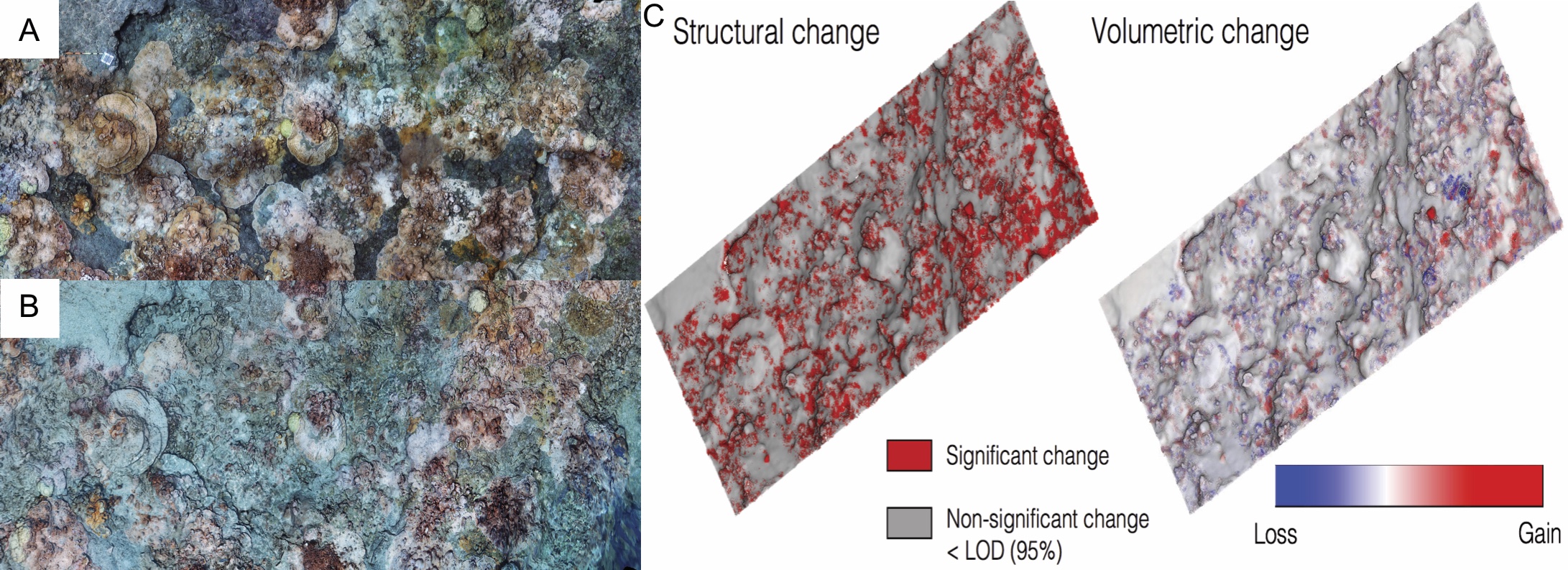 Quantifying impacts of disturbance to coral community structure and 3D habitat complexity