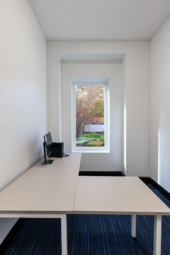 WEB RESOLUTION-3.jpg