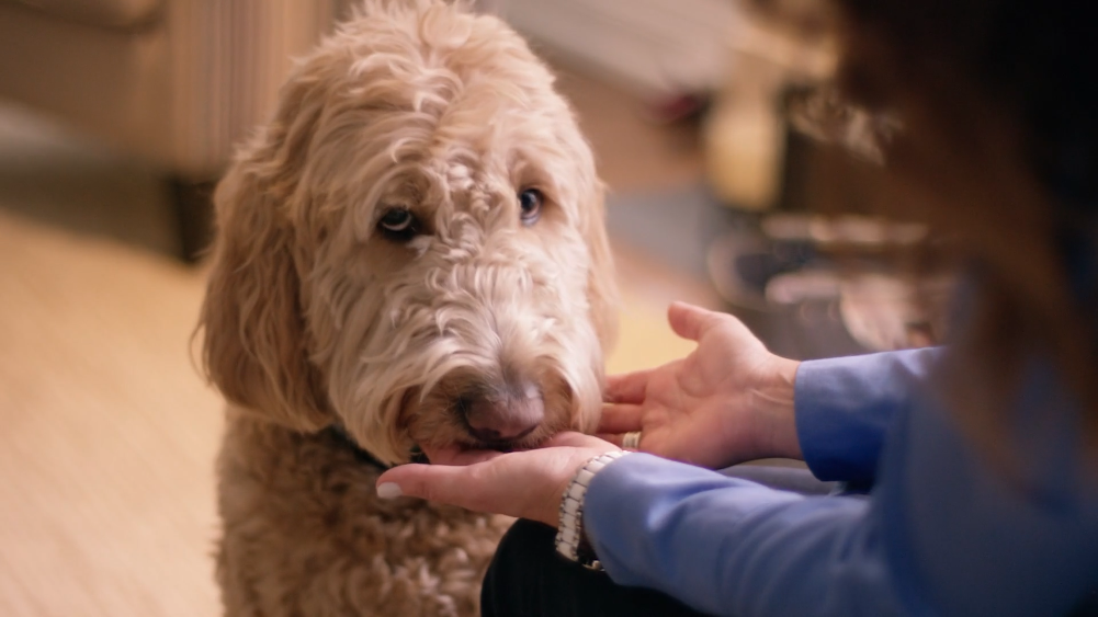 Dubuque — Simmons Careers