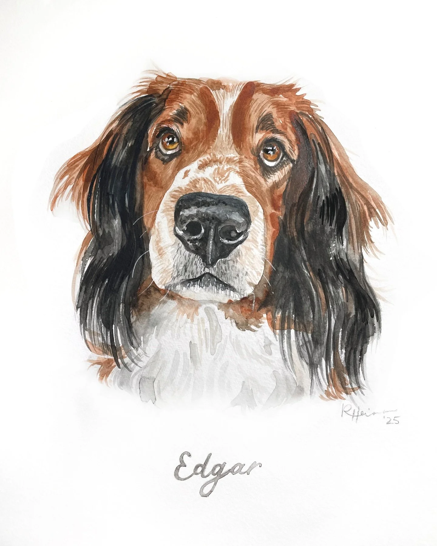 Edgar with the good hair 💁🏻&zwj;♀️

If you find yourself in need of a pet portrait, order by the end of the day Friday! 

See rachelheiss.com/shop to order! 🤍 xoxo

#washingtondcartist #marylandartist  #ordercustomart #watercolorartistdc #custompa