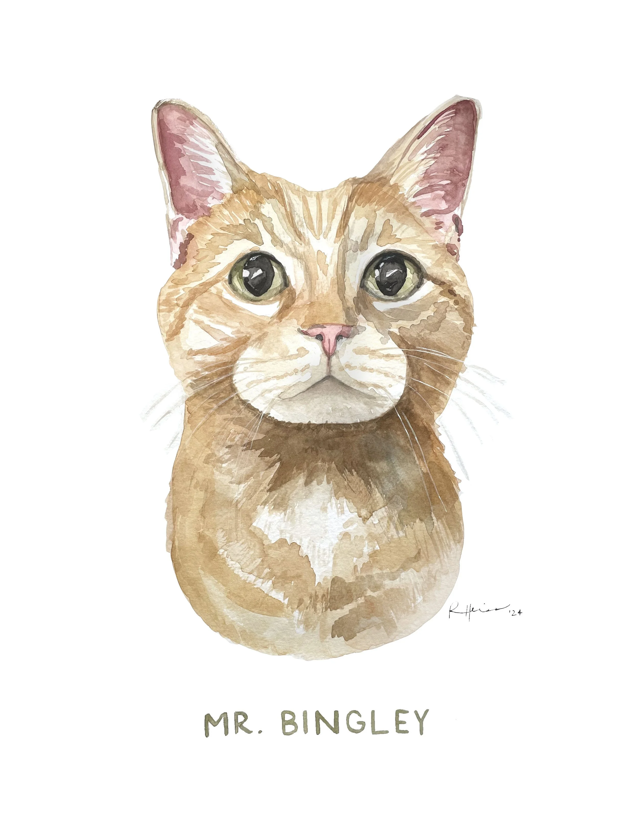 DB - 11x14 Mr. Bingley.jpg