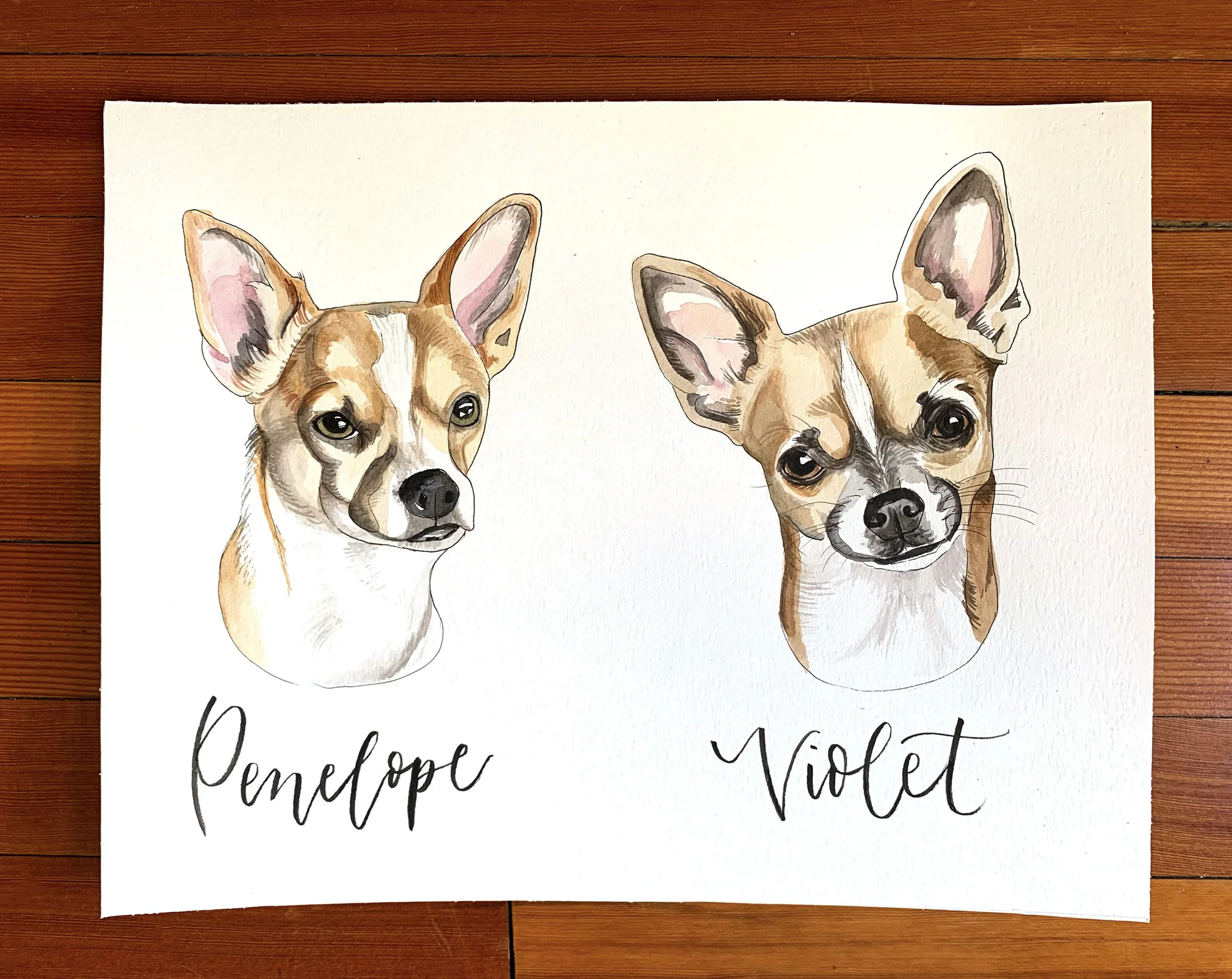 Penelope.Violet.jpg