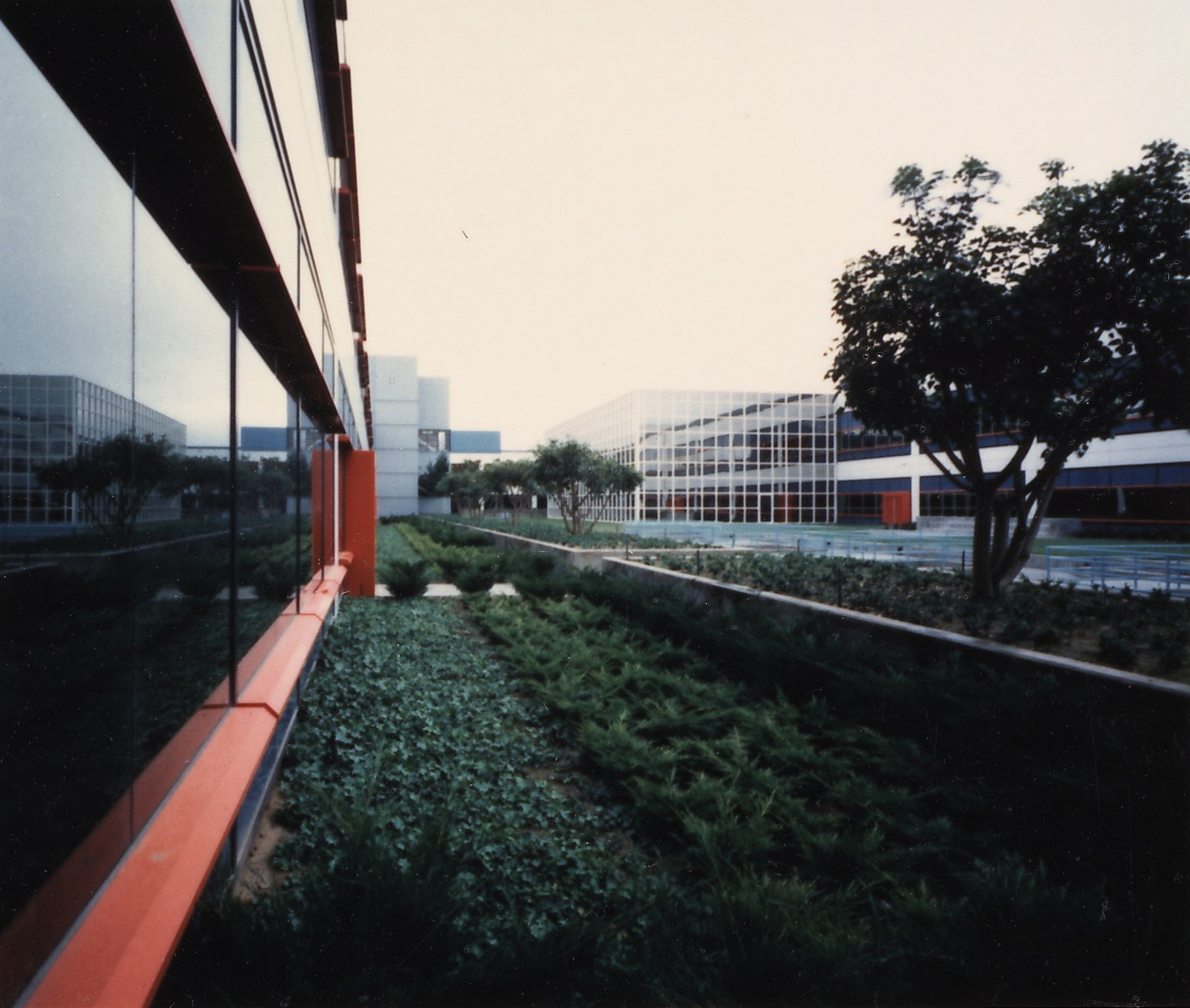 EDSG 4.jpg