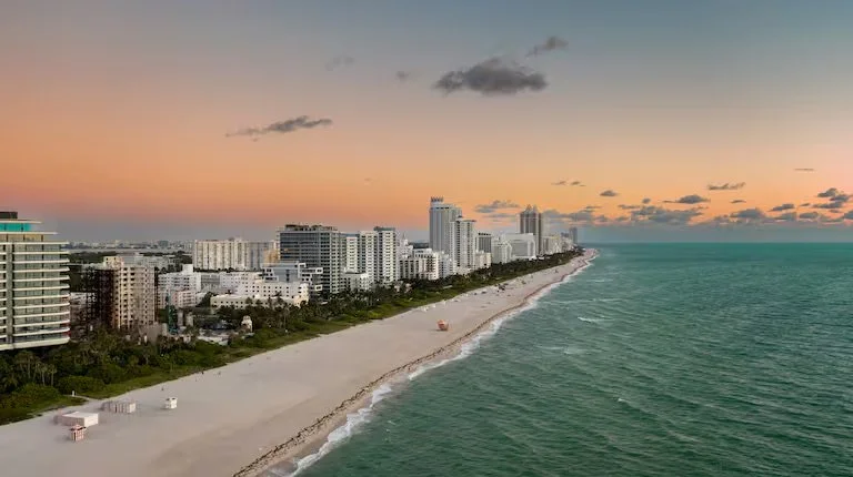 Miami 4.jpeg