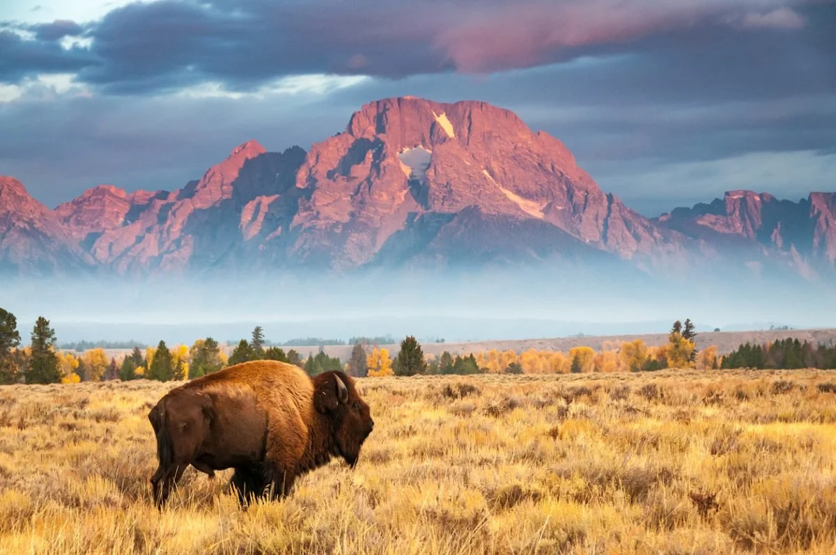 Yellowstone 4.jpg