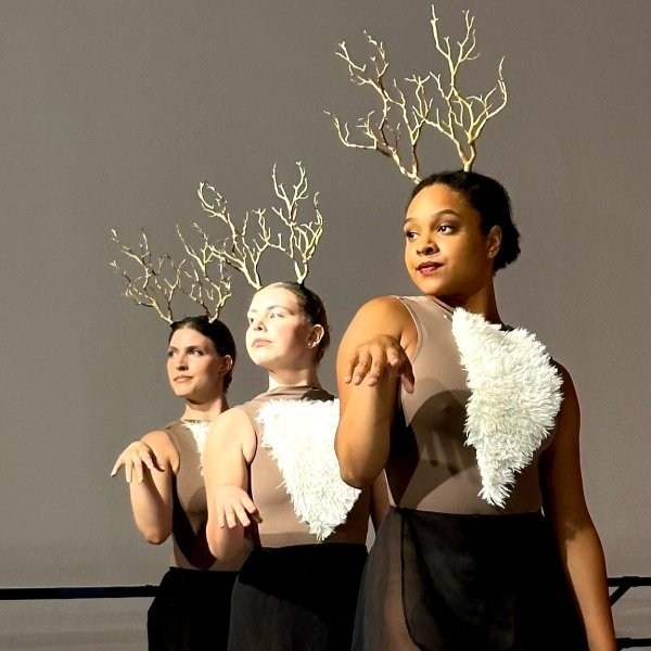 Performing Arts Division — Ballet Co.Laboratory