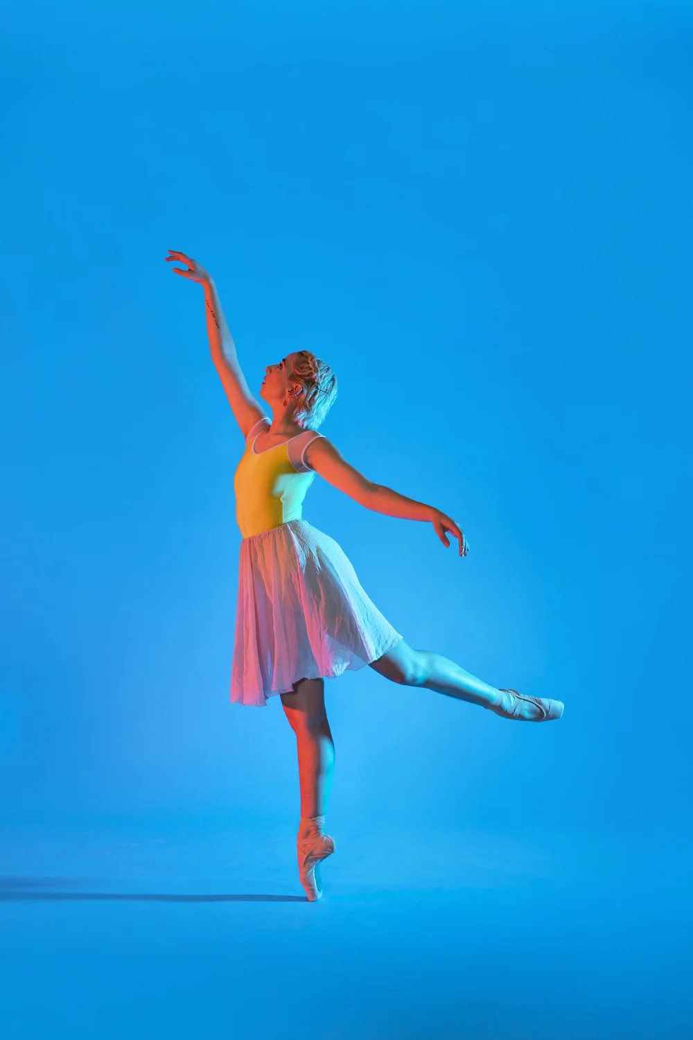 Trainee Program — Ballet Co.Laboratory