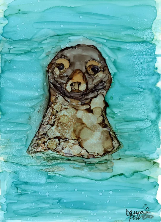 Seal Friend