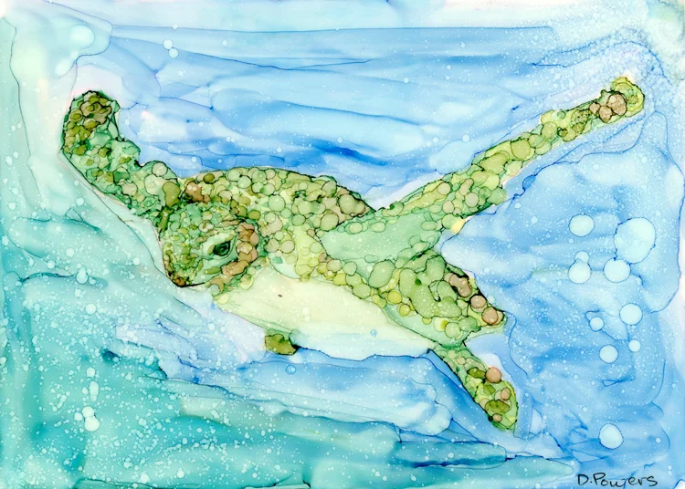 Ocean Friend Serene Sea Turtle