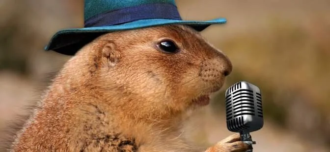 672z311_1596441144_prairie-dog-mic.jpg